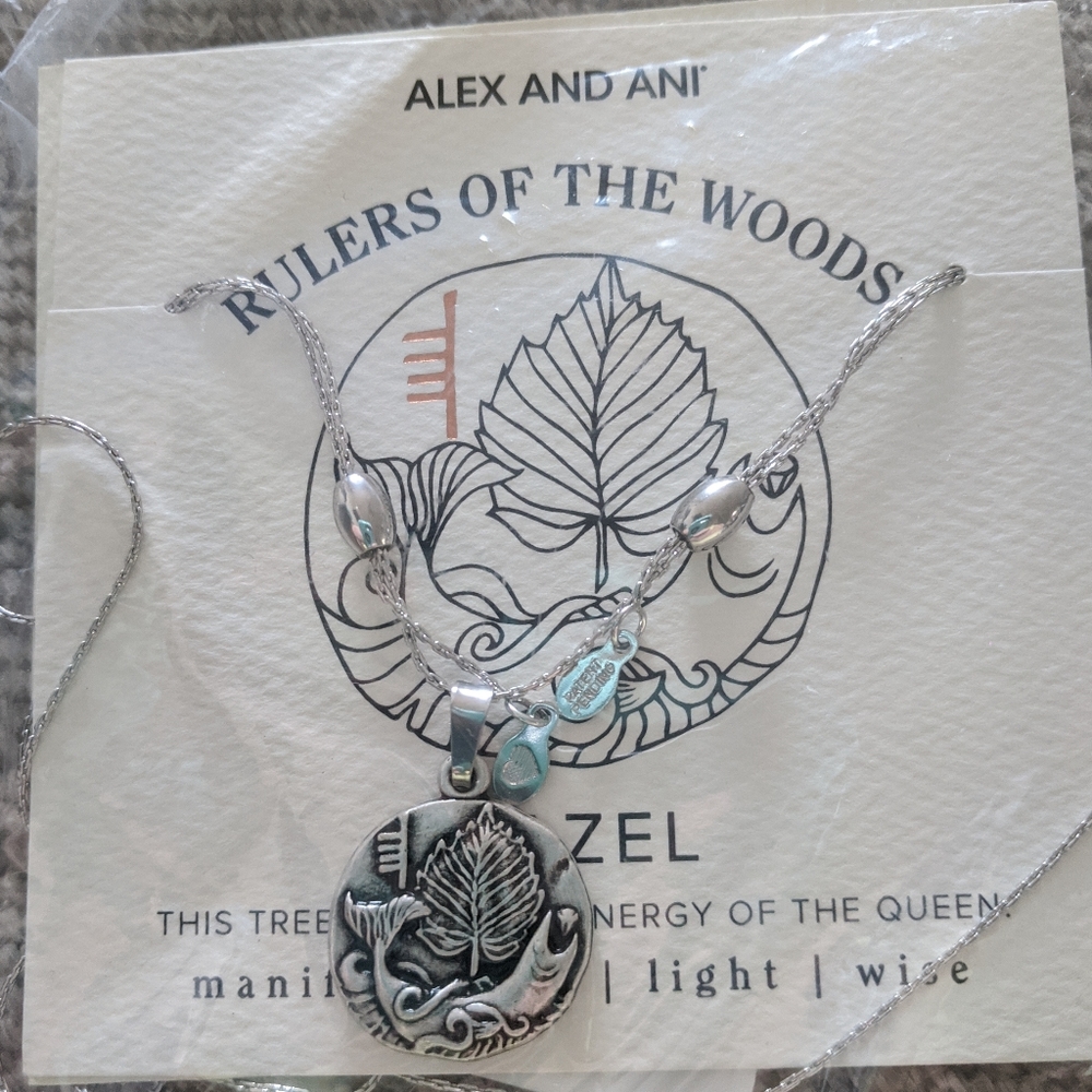 Alex and Ani Expandable Necklace